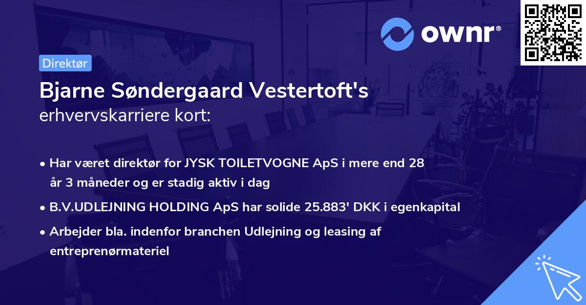 Bjarne Søndergaard Vestertoft's erhvervskarriere kort