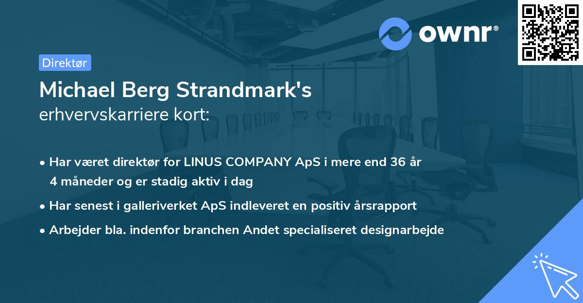 Michael Berg Strandmark's erhvervskarriere kort