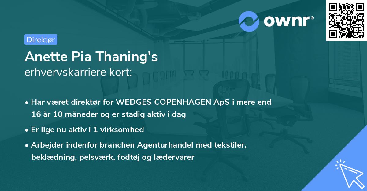 Anette Pia Thaning's erhvervskarriere kort