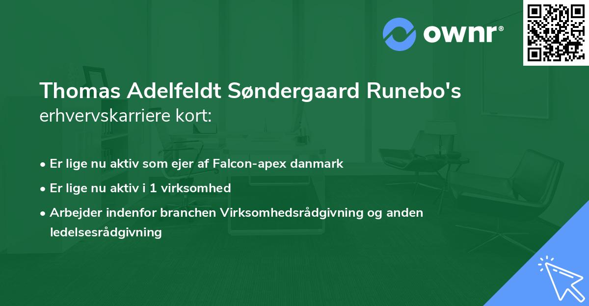 Thomas Adelfeldt Søndergaard Runebo's erhvervskarriere kort