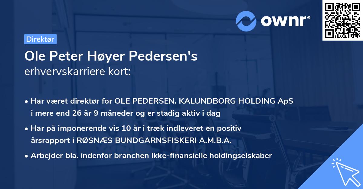 Ole Peter Høyer Pedersen's erhvervskarriere kort