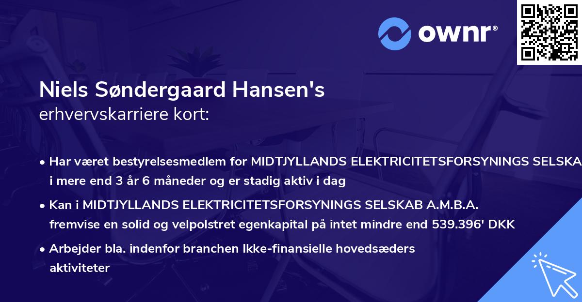 Niels Søndergaard Hansen's erhvervskarriere kort