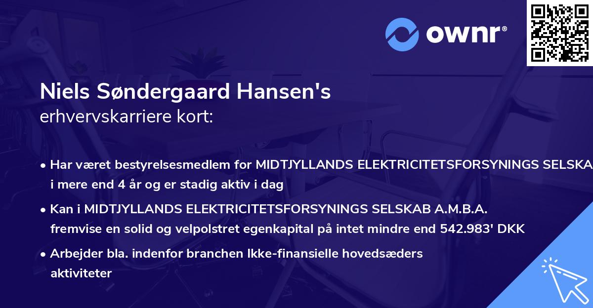 Niels Søndergaard Hansen's erhvervskarriere kort