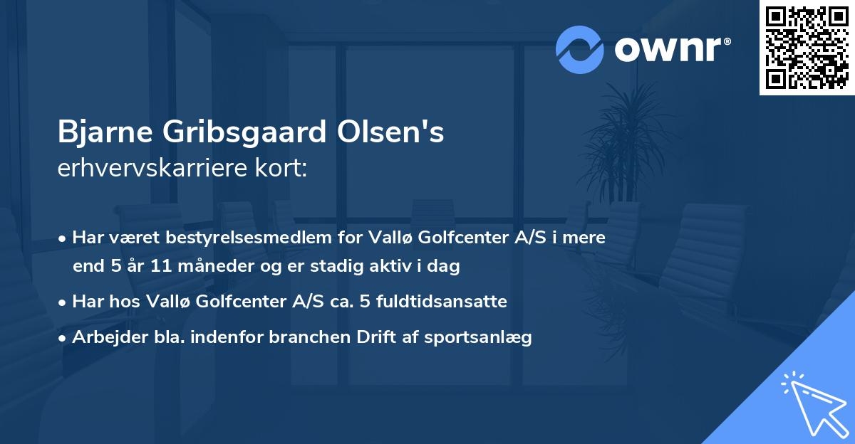 Bjarne Gribsgaard Olsen's erhvervskarriere kort