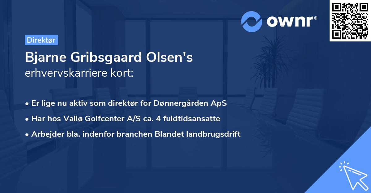 Bjarne Gribsgaard Olsen's erhvervskarriere kort