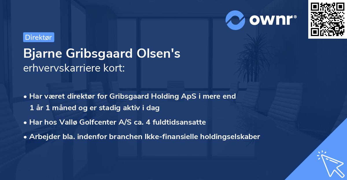 Bjarne Gribsgaard Olsen's erhvervskarriere kort