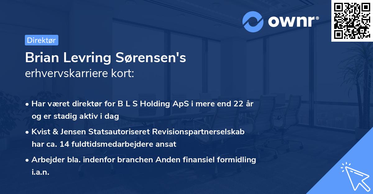 Brian Levring Sørensen's erhvervskarriere kort