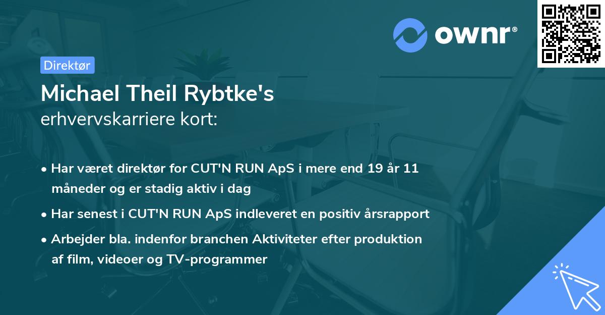Michael Theil Rybtke's erhvervskarriere kort
