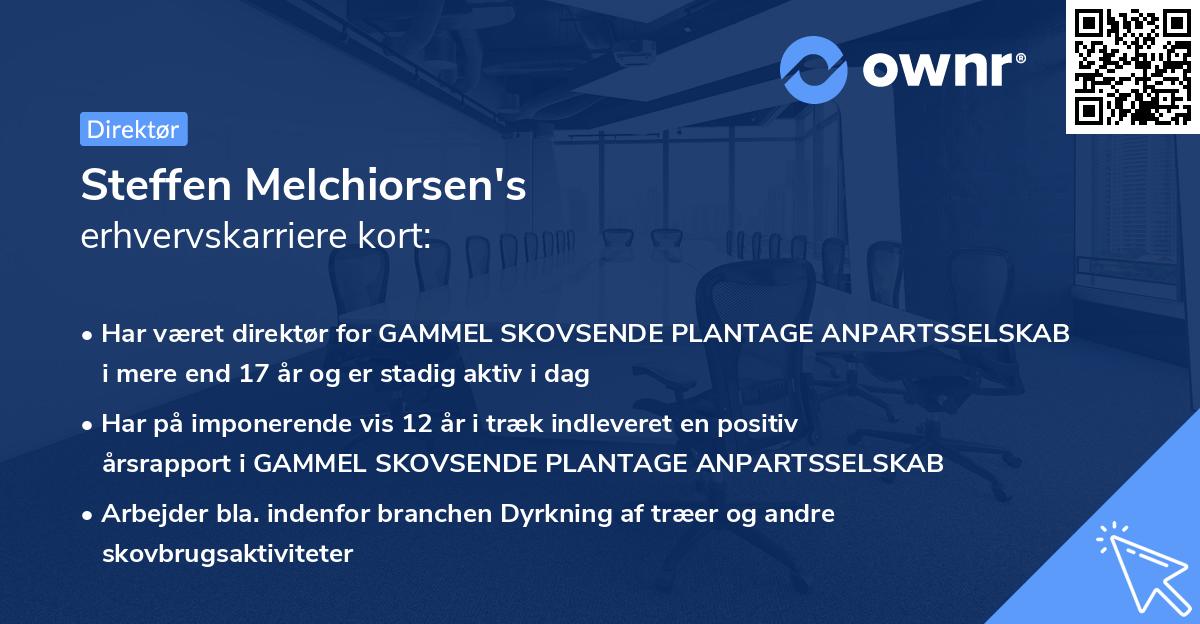 Steffen Melchiorsen's erhvervskarriere kort