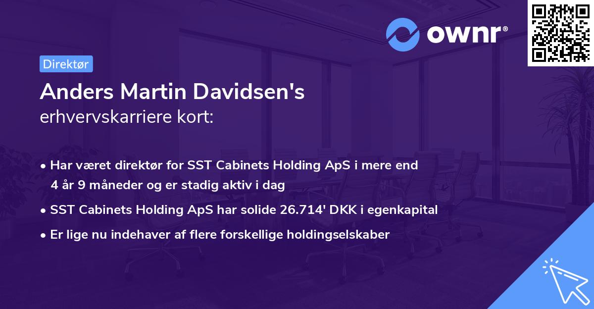 Anders Martin Davidsen's erhvervskarriere kort