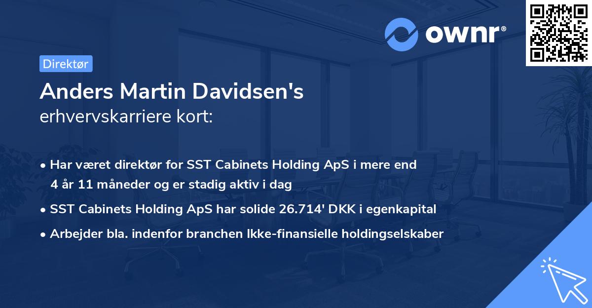 Anders Martin Davidsen's erhvervskarriere kort