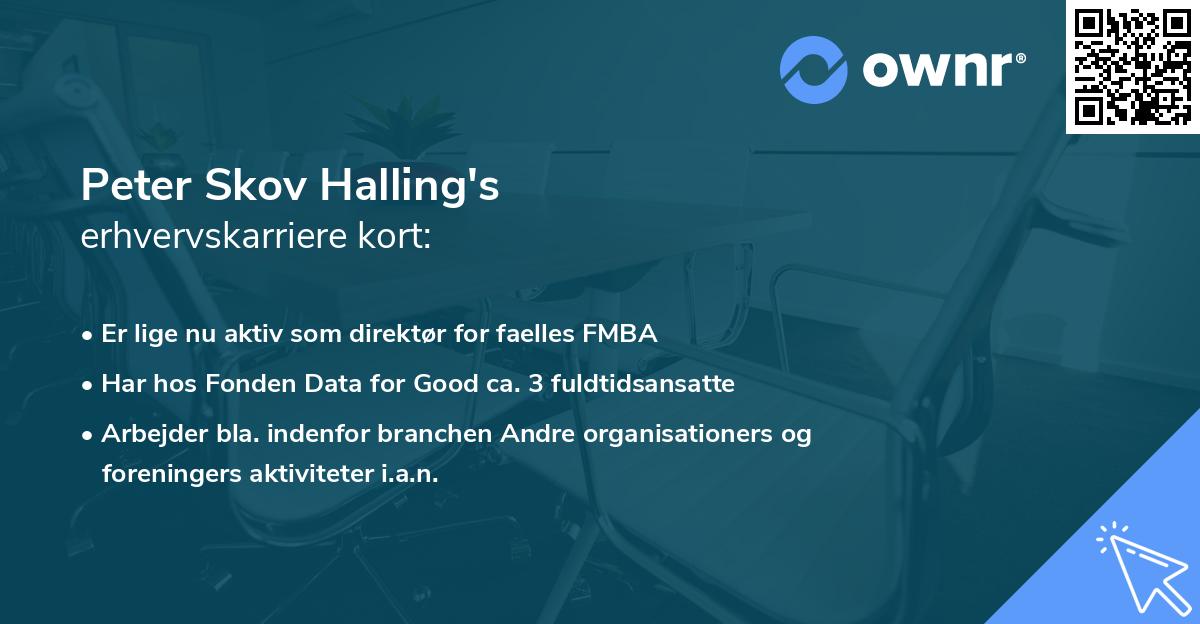 Peter Skov Halling's erhvervskarriere kort