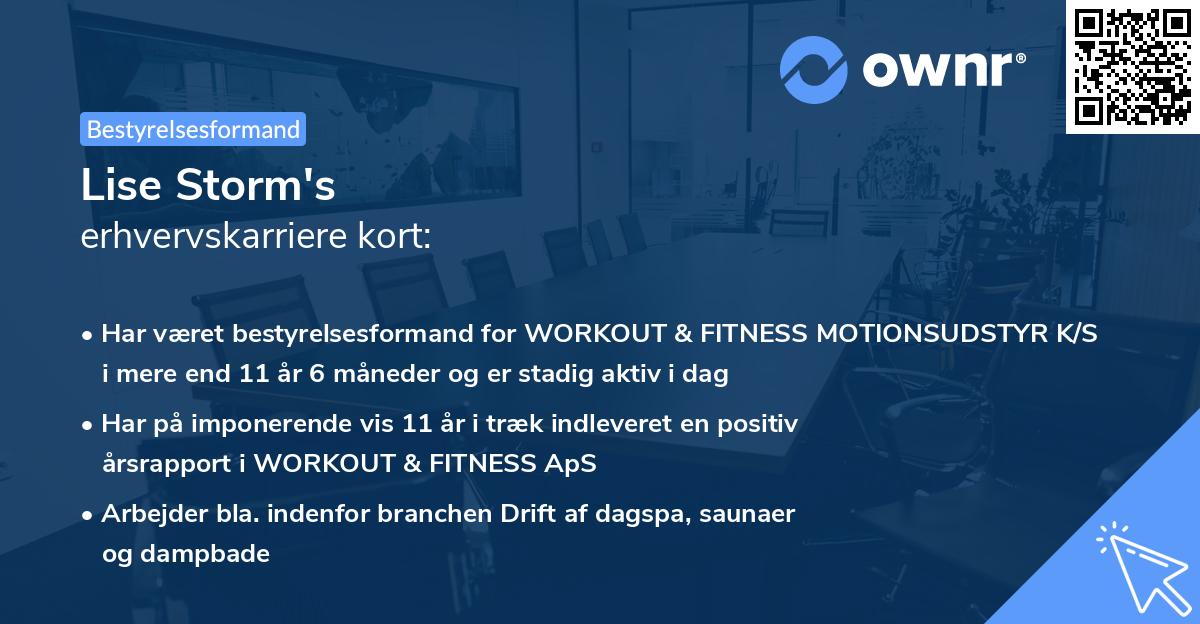 Lise Storm's erhvervskarriere kort