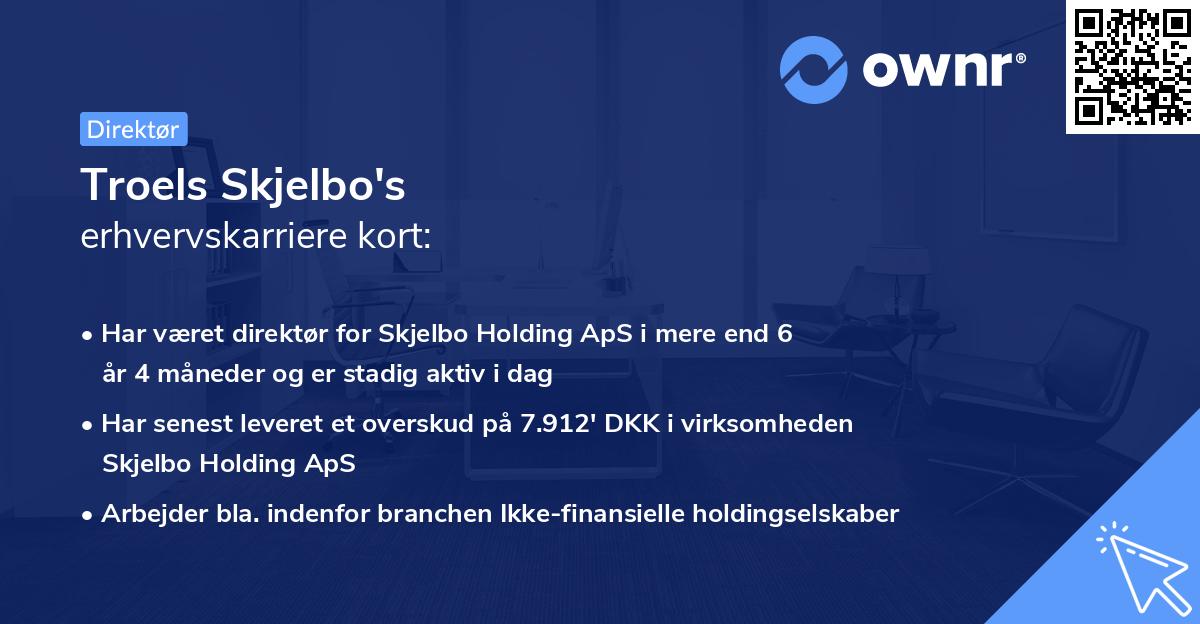 Troels Skjelbo's erhvervskarriere kort