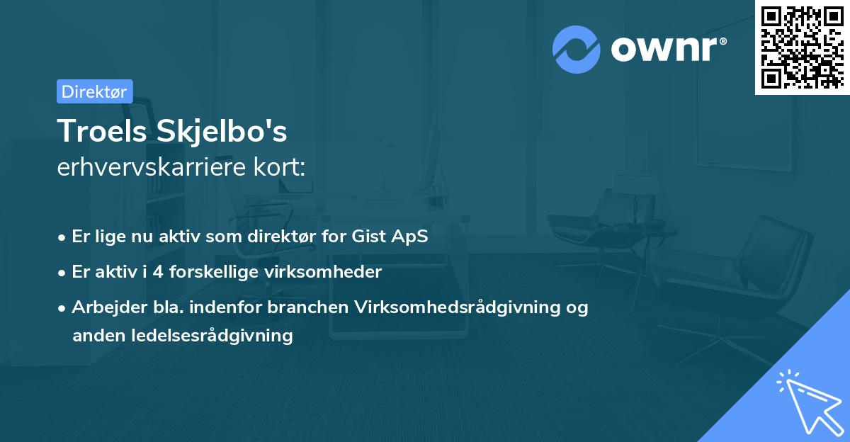 Troels Skjelbo's erhvervskarriere kort