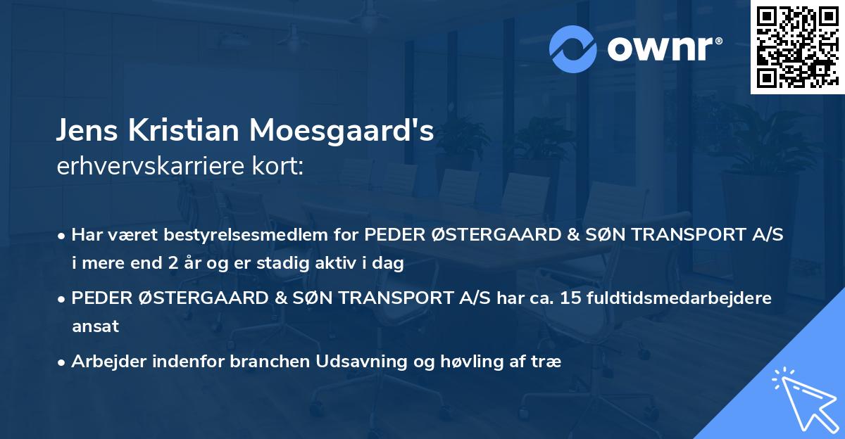 Jens Kristian Moesgaard's erhvervskarriere kort