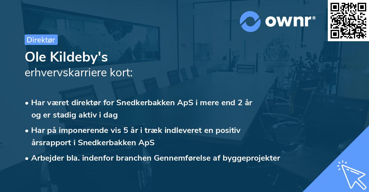 Ole Kildeby's erhvervskarriere kort