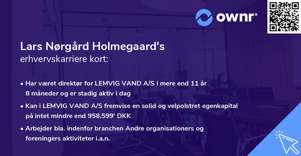 Lars Nørgård Holmegaard's erhvervskarriere kort
