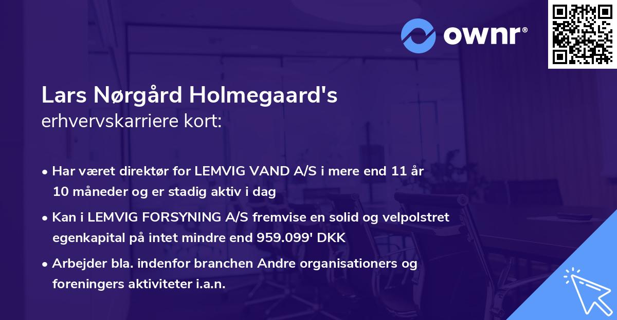 Lars Nørgård Holmegaard's erhvervskarriere kort