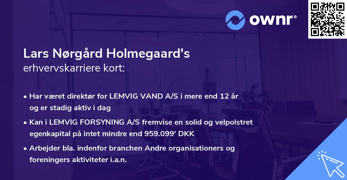 Lars Nørgård Holmegaard's erhvervskarriere kort
