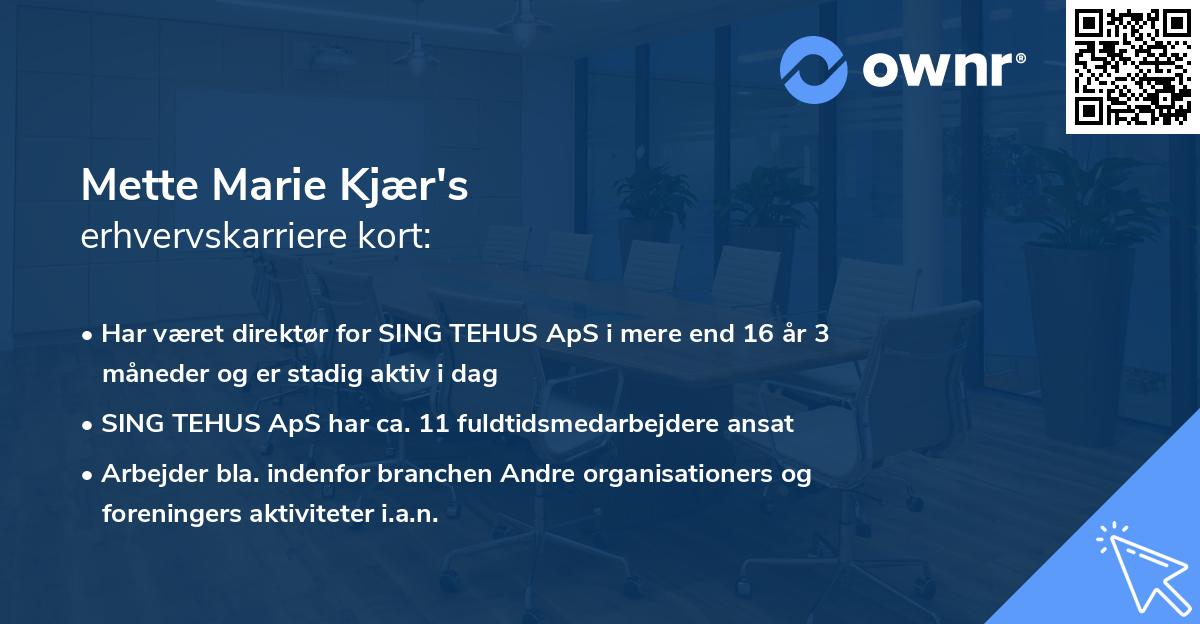Mette Marie Kjær's erhvervskarriere kort