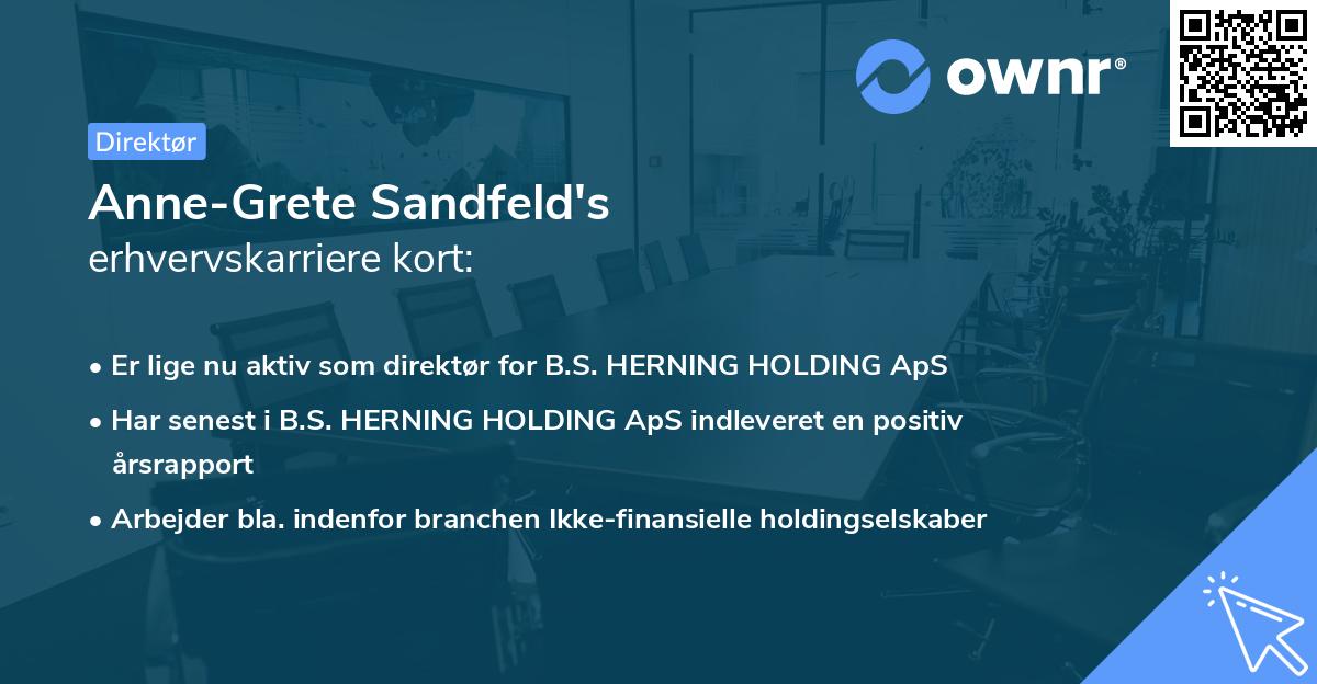 Anne-Grete Sandfeld's erhvervskarriere kort