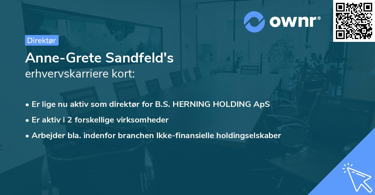 Anne-Grete Sandfeld's erhvervskarriere kort