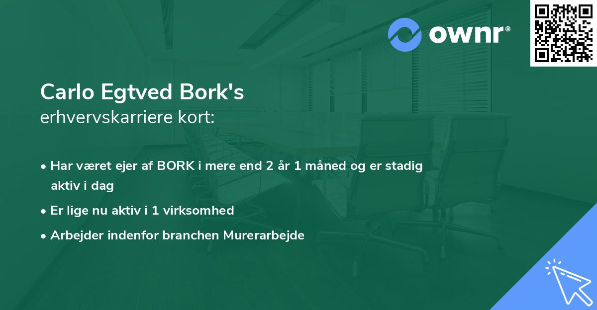 Carlo Egtved Bork's erhvervskarriere kort