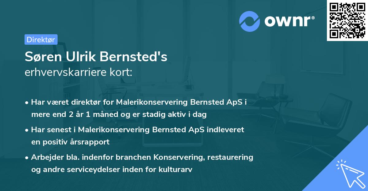 Søren Ulrik Bernsted's erhvervskarriere kort