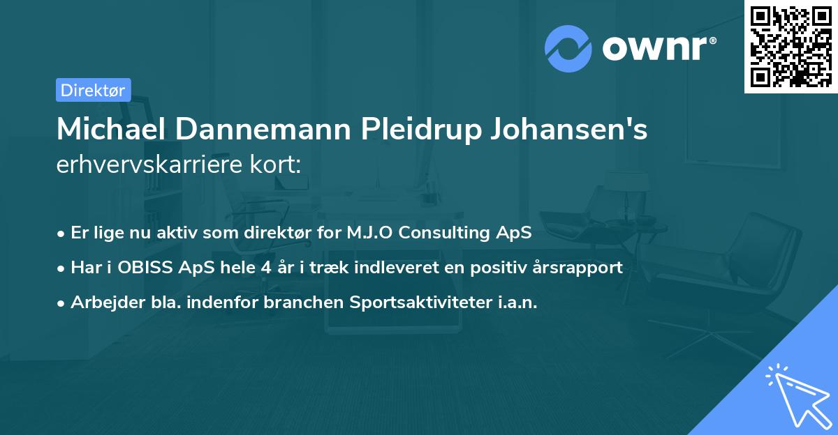 Michael Dannemann Pleidrup Johansen's erhvervskarriere kort