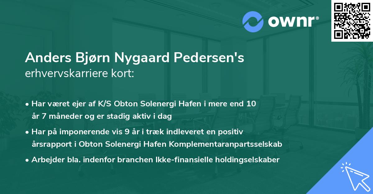 Anders Bjørn Nygaard Pedersen's erhvervskarriere kort