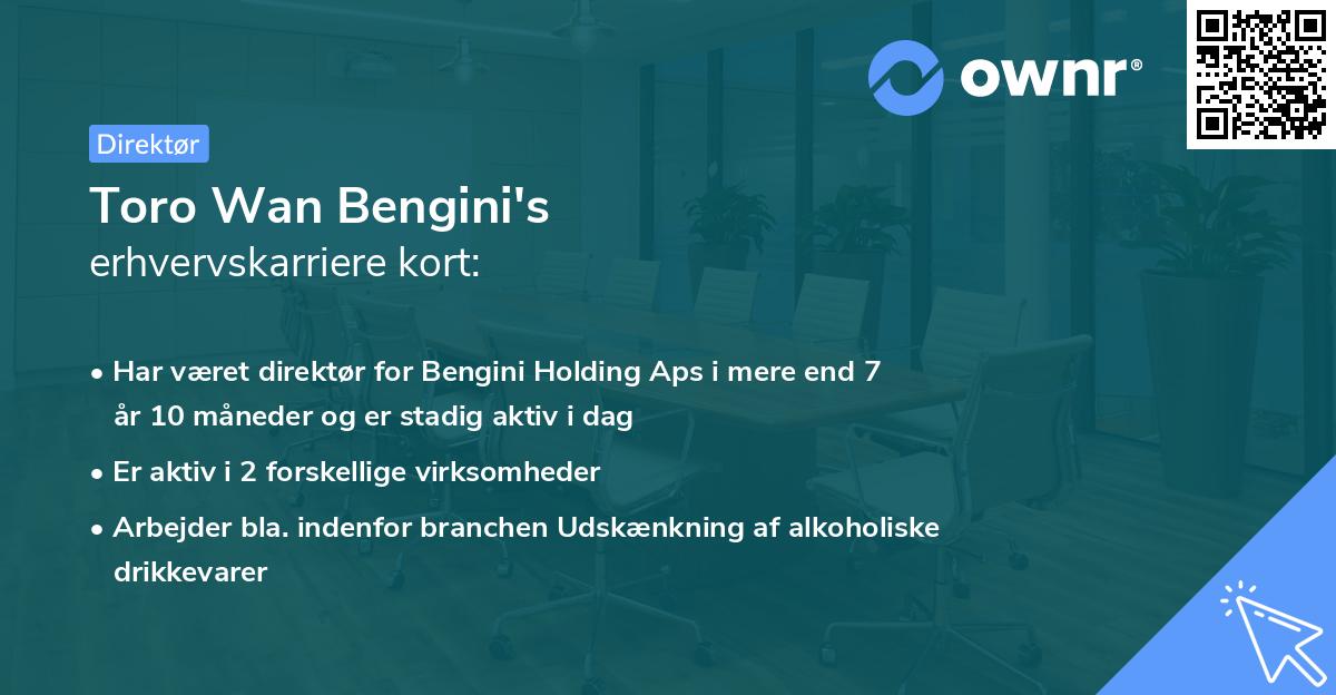 Toro Wan Bengini's erhvervskarriere kort