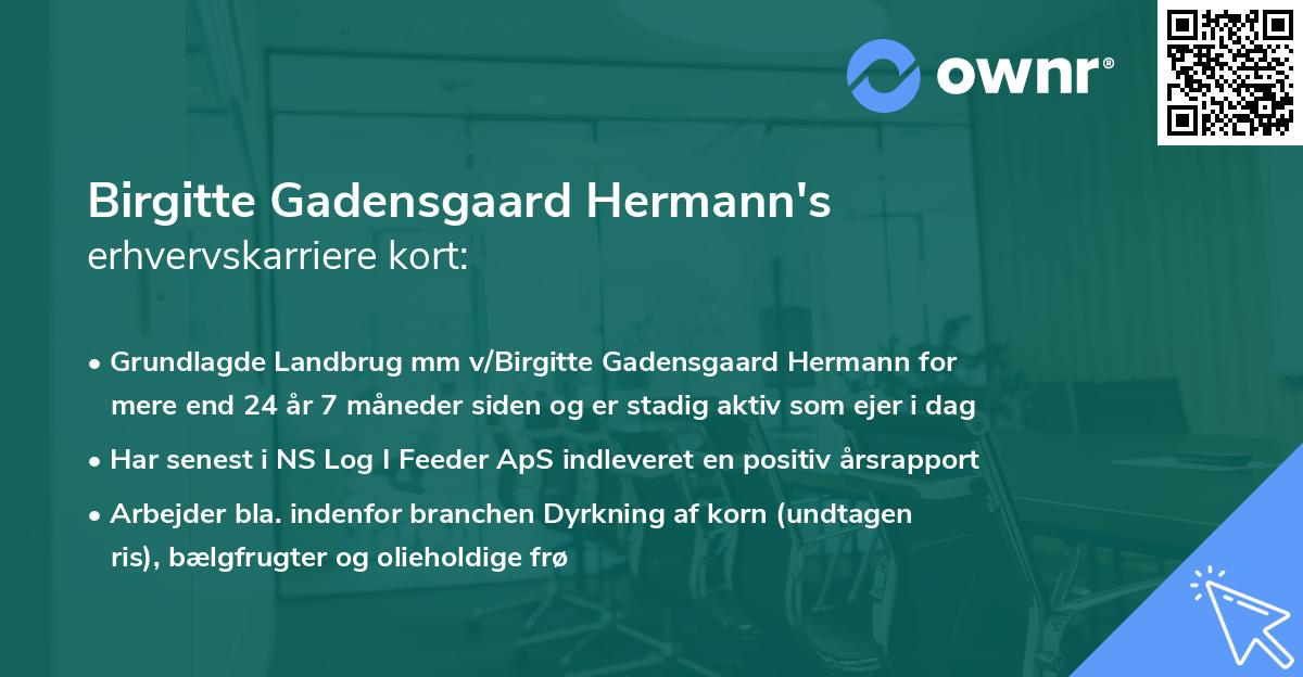 Birgitte Gadensgaard Hermann's erhvervskarriere kort