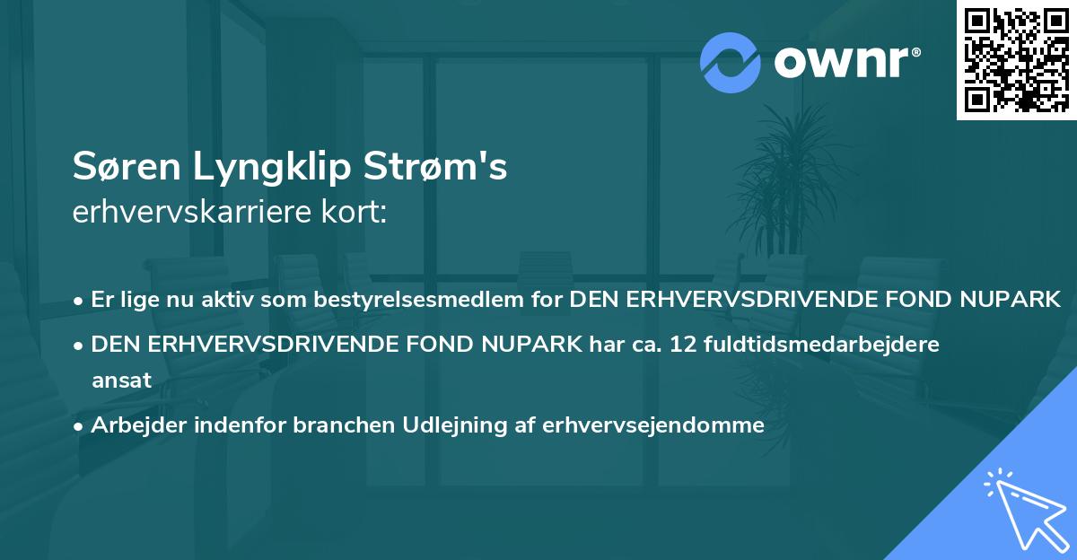 Søren Lyngklip Strøm's erhvervskarriere kort