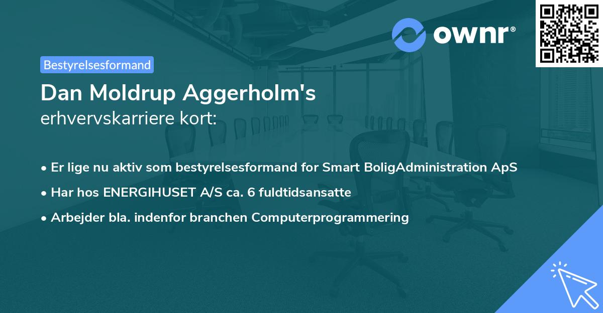 Dan Moldrup Aggerholm's erhvervskarriere kort