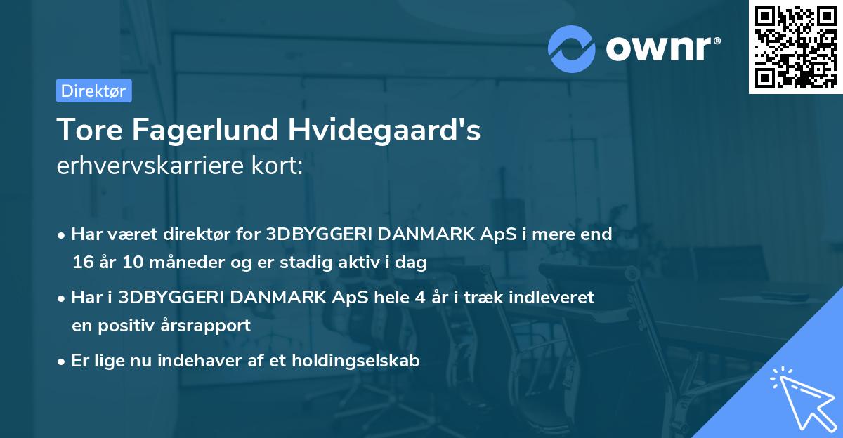 Tore Fagerlund Hvidegaard's erhvervskarriere kort