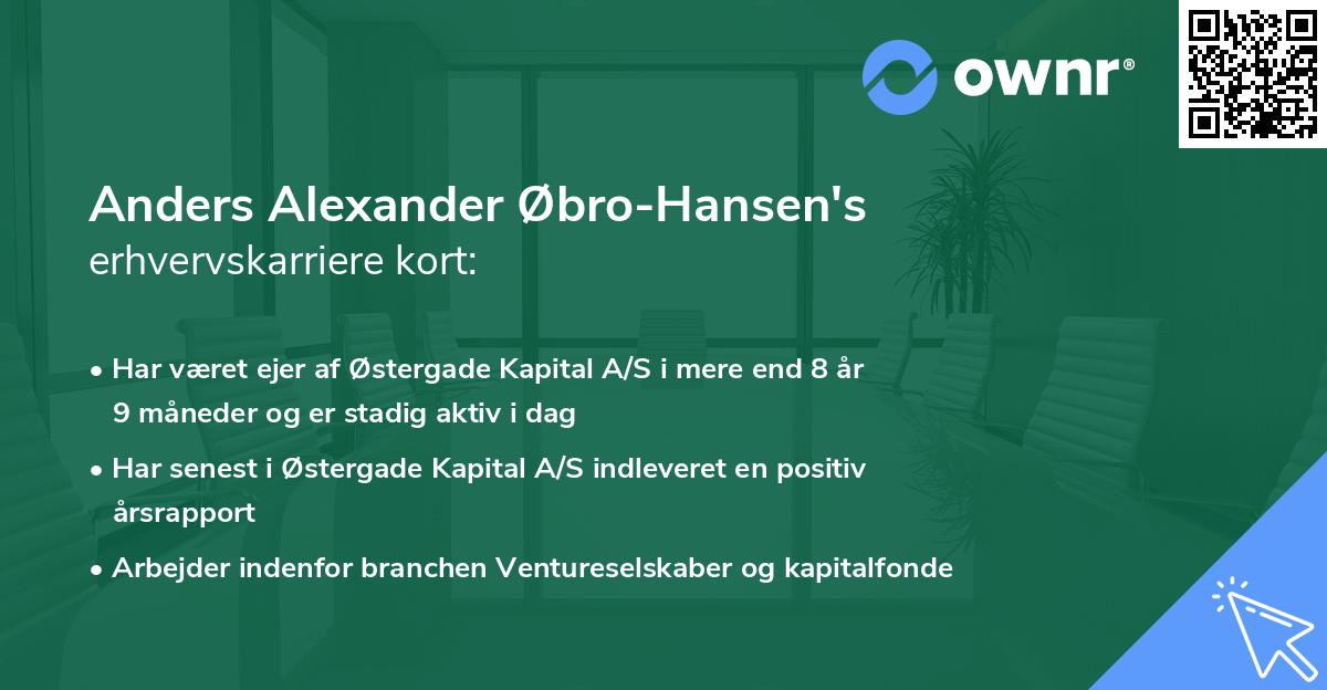 Anders Alexander Øbro-Hansen's erhvervskarriere kort