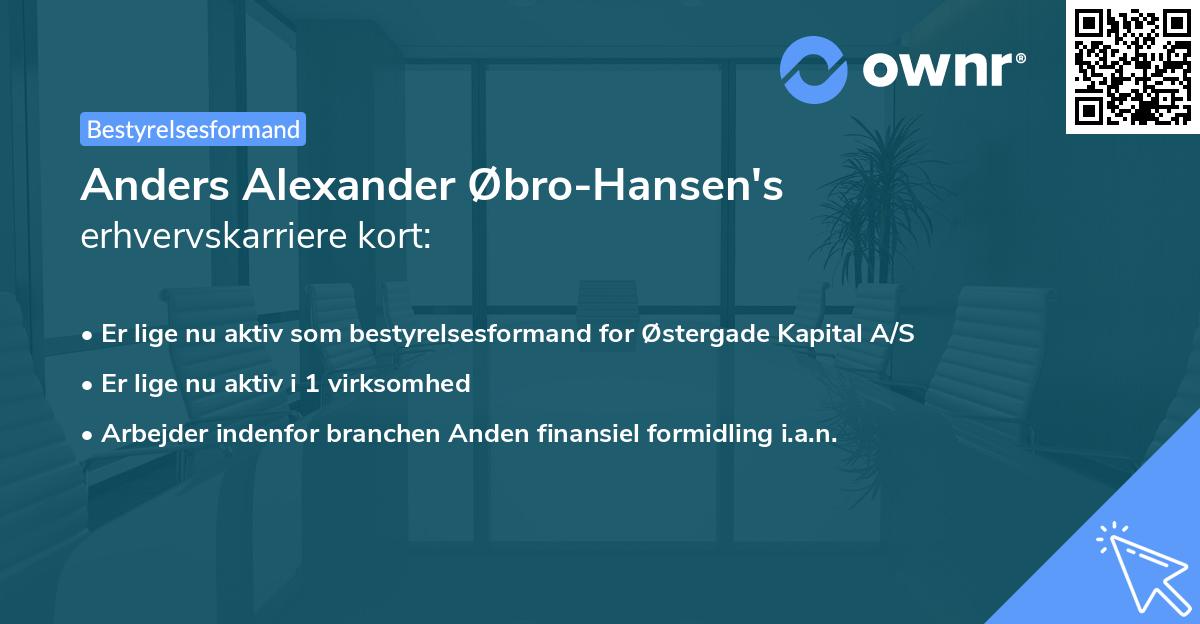 Anders Alexander Øbro-Hansen's erhvervskarriere kort
