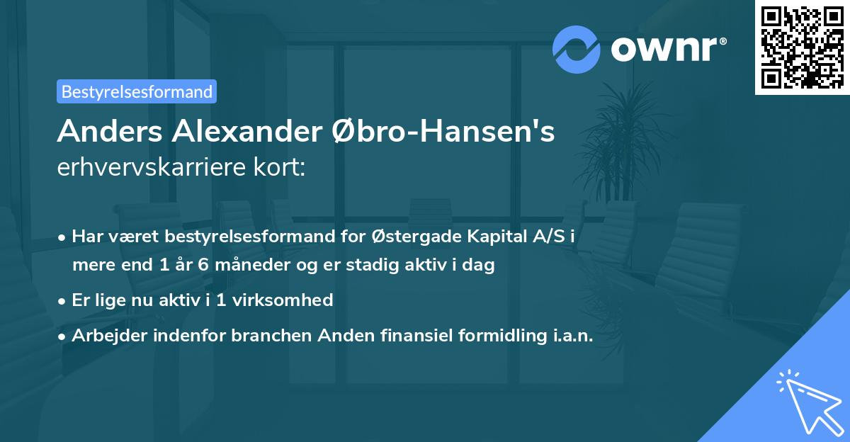 Anders Alexander Øbro-Hansen's erhvervskarriere kort