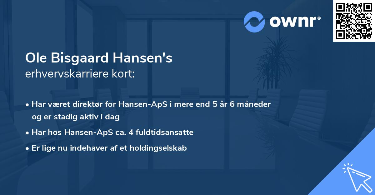 Ole Bisgaard Hansen's erhvervskarriere kort