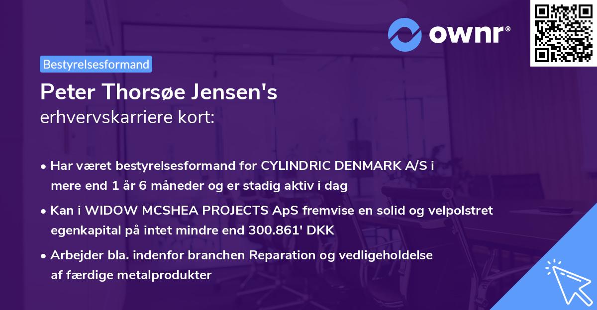 Peter Thorsøe Jensen's erhvervskarriere kort