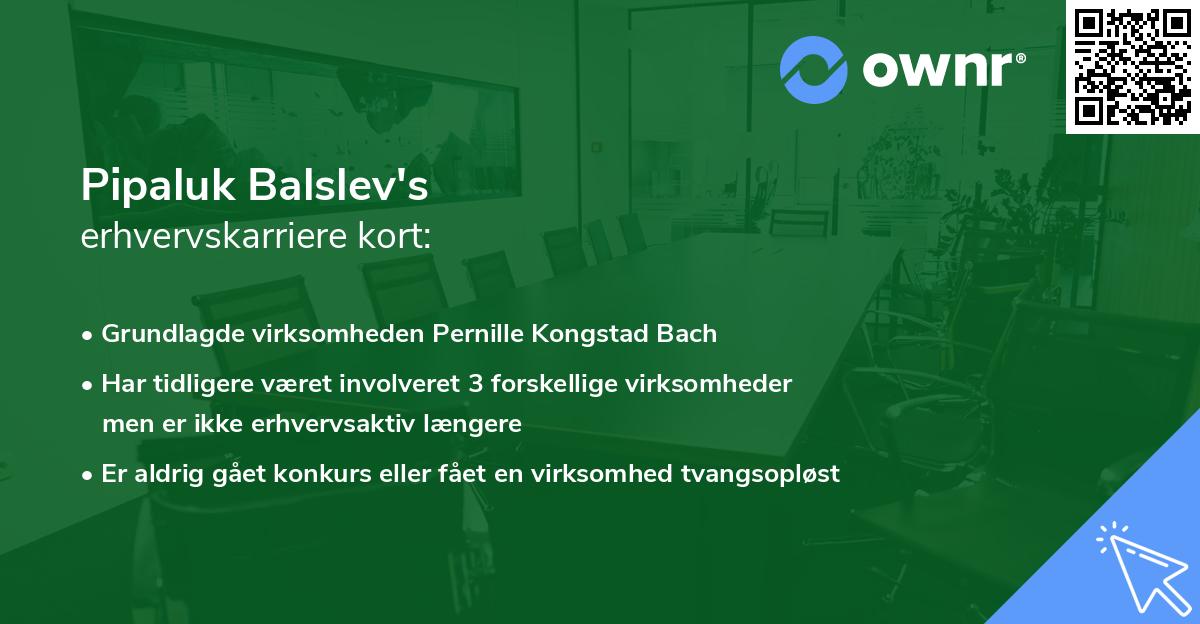 Pipaluk Balslev's erhvervskarriere kort