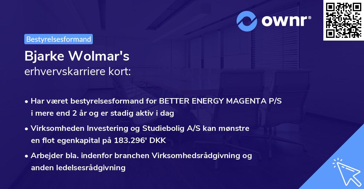 Bjarke Wolmar's erhvervskarriere kort