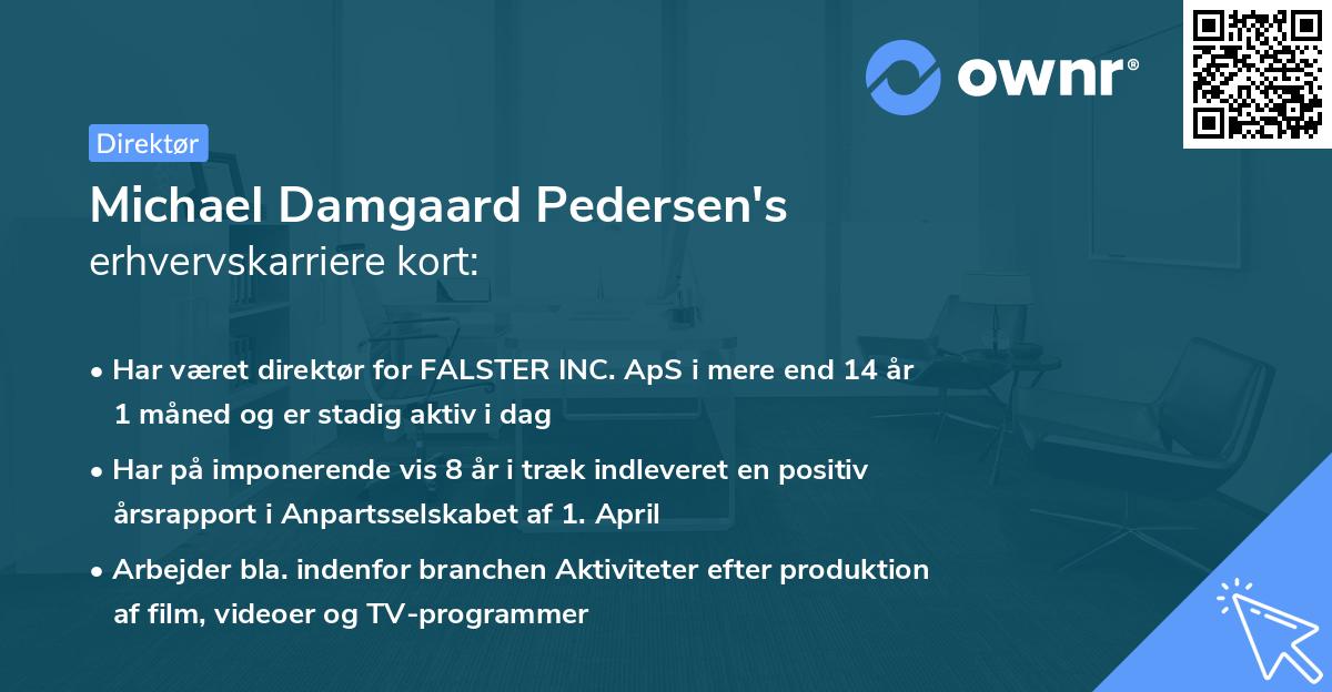 Michael Damgaard Pedersen's erhvervskarriere kort