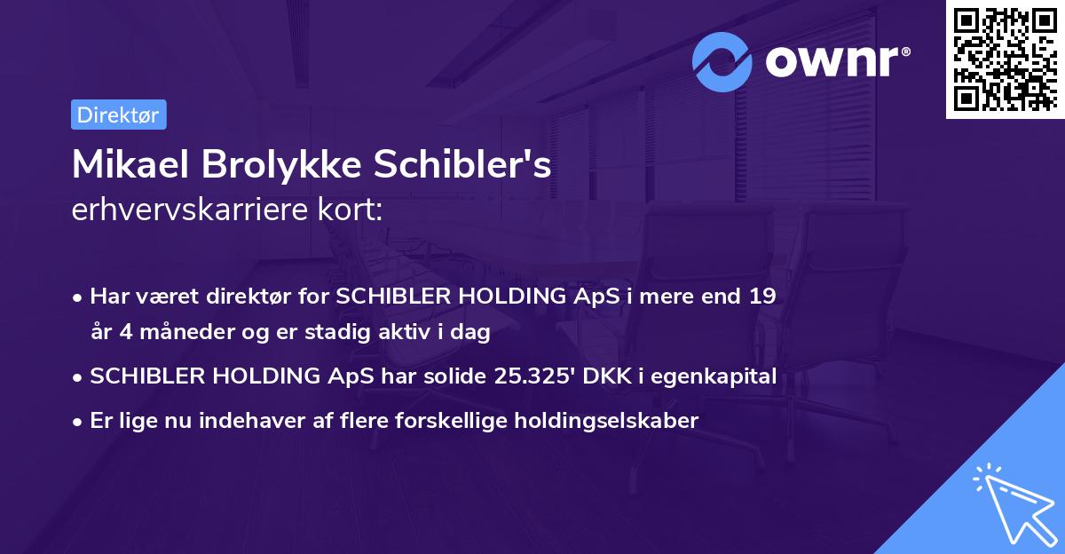 Mikael Brolykke Schibler's erhvervskarriere kort