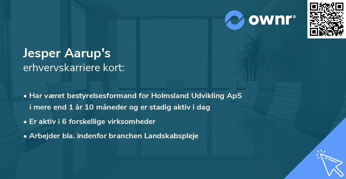 Jesper Aarup's erhvervskarriere kort