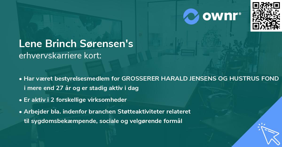 Lene Brinch Sørensen's erhvervskarriere kort