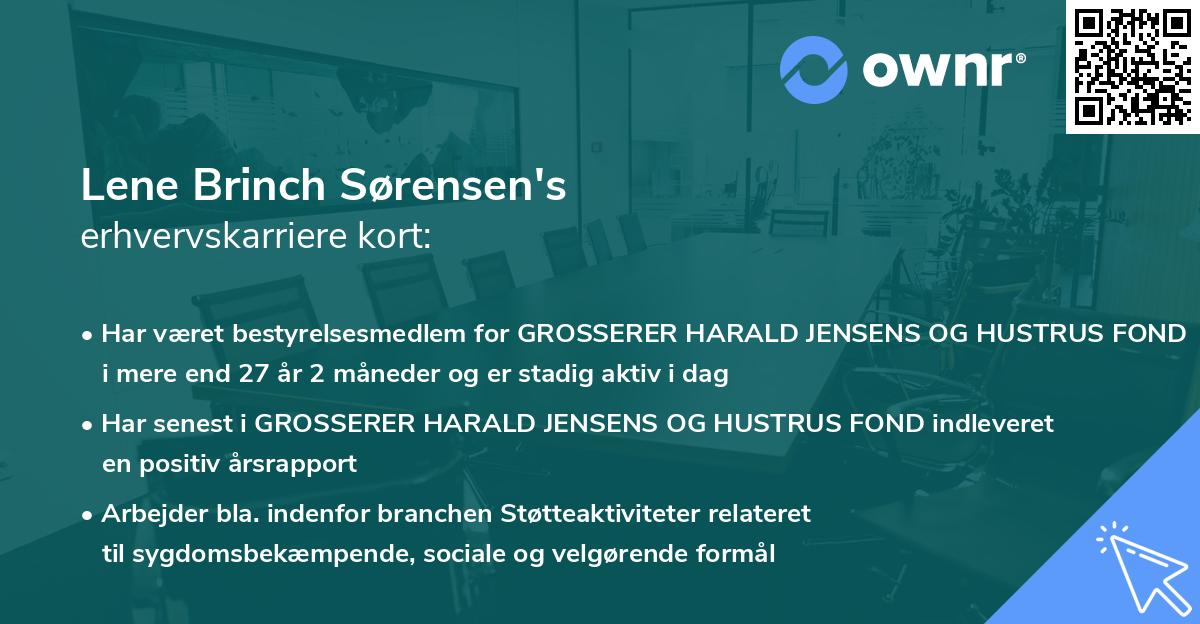 Lene Brinch Sørensen's erhvervskarriere kort