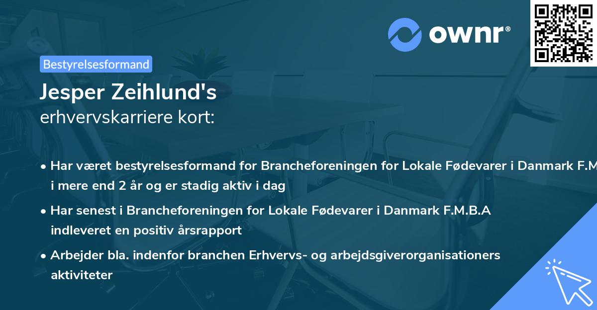 Jesper Zeihlund's erhvervskarriere kort