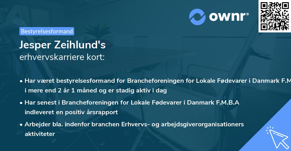Jesper Zeihlund's erhvervskarriere kort